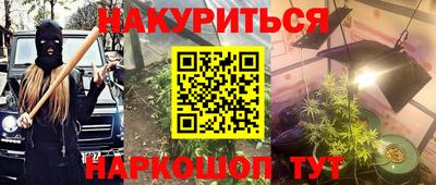 крисы Будённовск