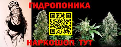 крисы Будённовск