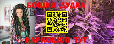 крисы Будённовск