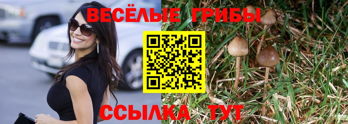 Псилоцибиновые грибы GOLDEN TEACHER  Вход с VPN  Рославль 