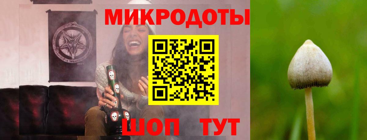 Галлюциногенные грибы Cubensis Рославль